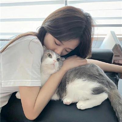 属马的儿媳 海报